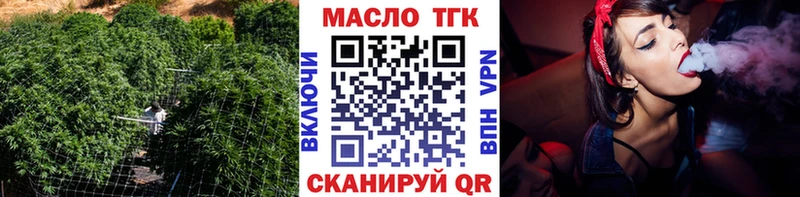 ТГК концентрат  Купить закладки  Няндома 