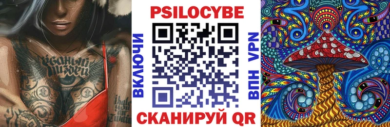 Купить закладки  Няндома  Галлюциногенные грибы Psilocybine cubensis 